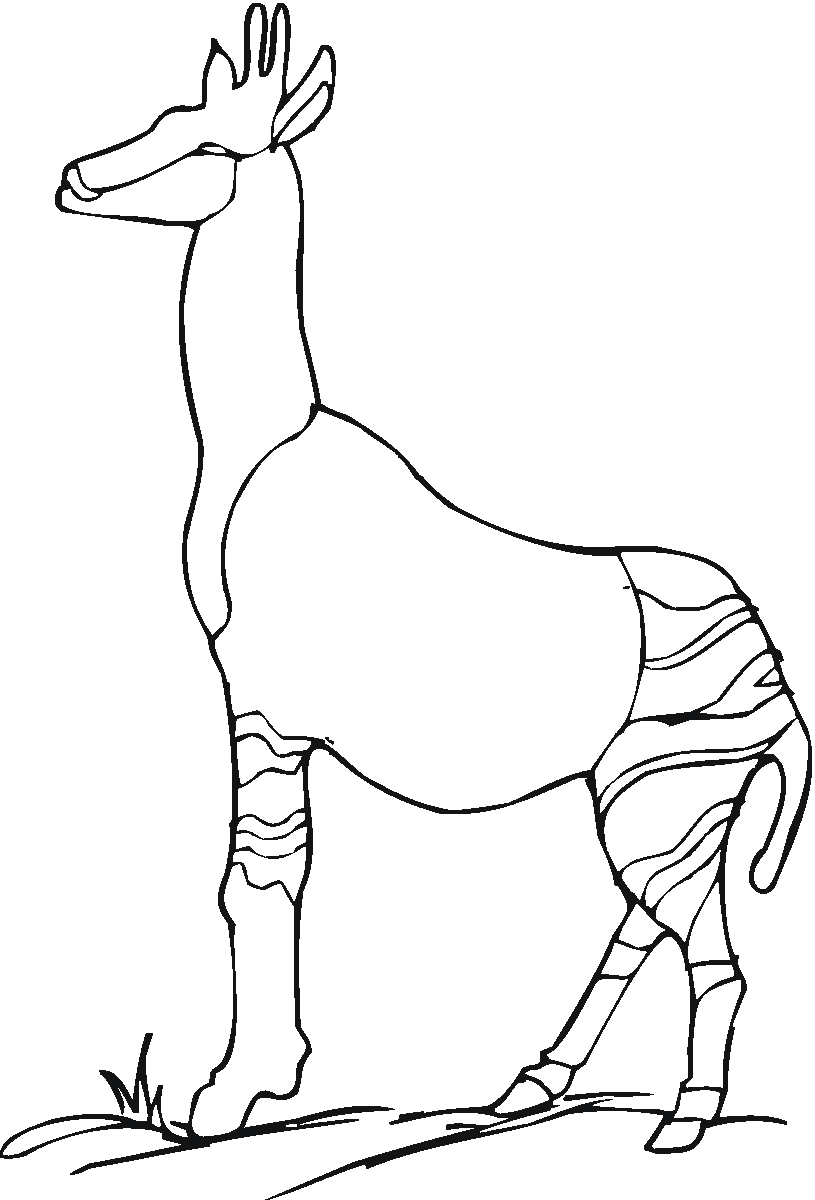 Antylopa, gazela, gnu kolorowanki